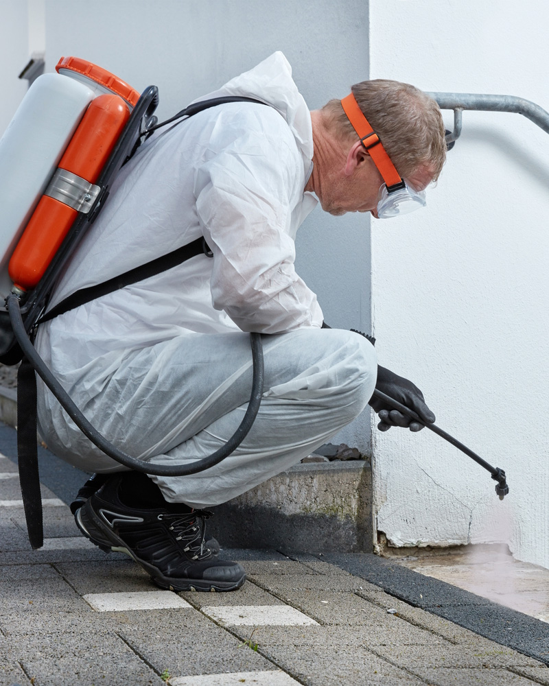 Kammerjäger bei der Arbeit
